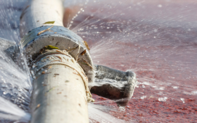 A Comprehensive Guide to Northeast Plumbing Services for Homeowners